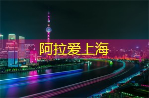 上海娱乐网：音乐节上的欢声笑语：上海的盛况